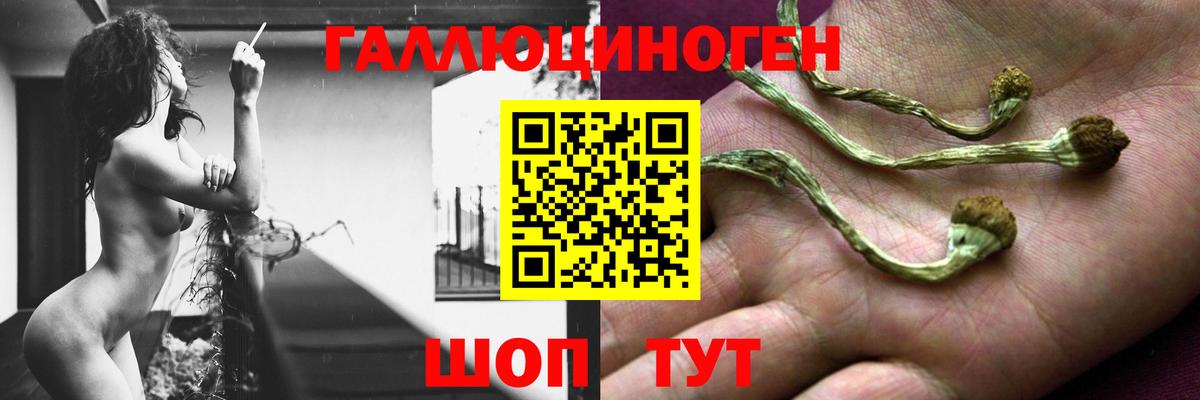 Галлюциногенные грибы Magic Shrooms Рыбинск